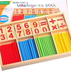 Intelligent Stick